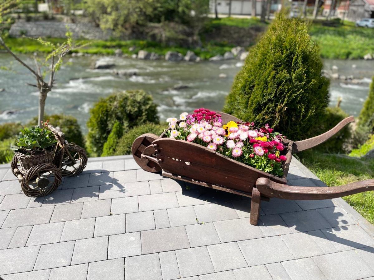 Osrodek Wypoczynkowy Anna Ila Bed and Breakfast Szaflary Exteriör bild